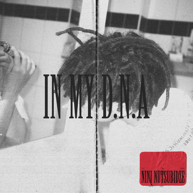 IN MY D.N.A cover